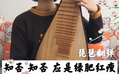 琵琶用哪个手弹 琵琶是左手弹还是右手弹