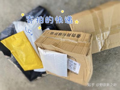 寄拍是什么意思 送拍是什么意思
