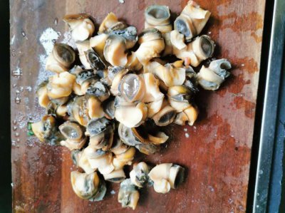 田螺需要进行冷藏吗 田螺能放在冰箱里冷藏吗