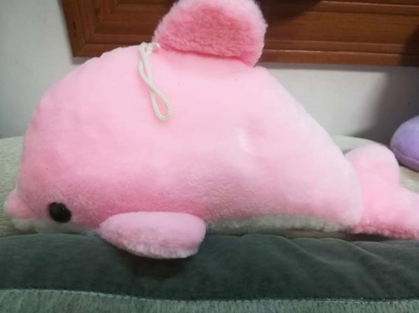 粉色海豚是怎么回事