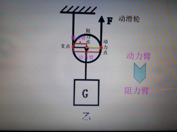 动滑轮的特点
