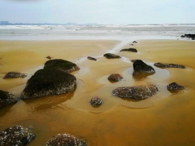 退潮后沙滩上有小孔是有什么 退潮后沙滩上的小孔里面有海鲜吗