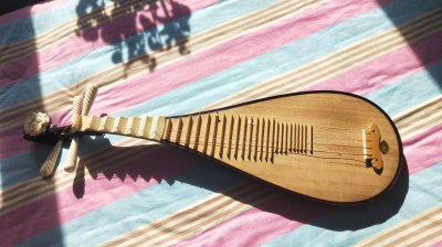 琵琶中的琵和琶最初指的是 下列关于琵琶的说法错误的是