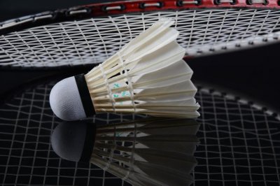 羽毛球上有几根羽毛 一只羽毛球上通常有几根羽毛