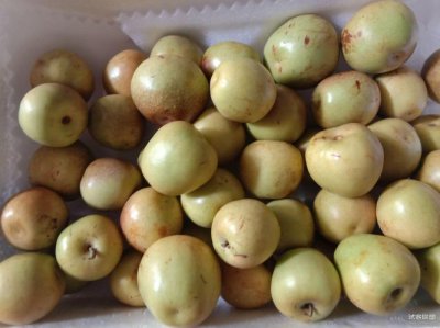 冬枣能放冰箱吗 冬枣放冰箱好还是不放好