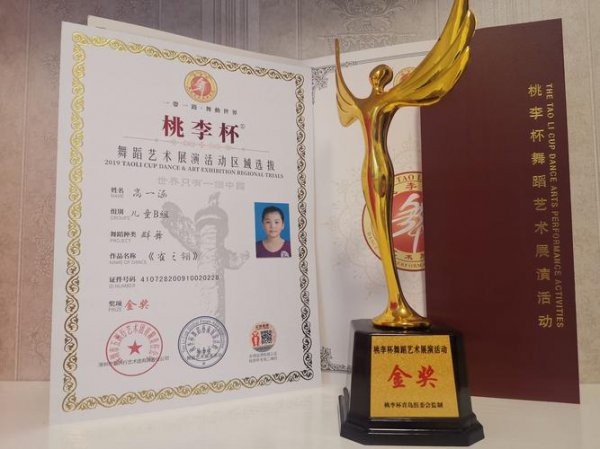桃李杯属于什么级别的比赛