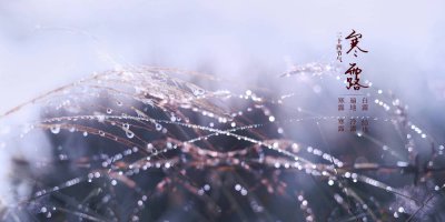 寒露是不是天气就冷了 寒露之后还会继续热吗