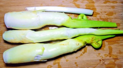 高瓜和茭白是否一样 高瓜和茭白是一样的吗