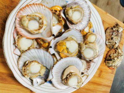 扇贝公母哪个好吃 扇贝公的好吃还是母的好吃