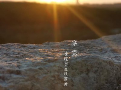 寒露为什么比白露冷 白露和寒露的区别之间的节气