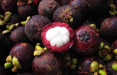 山竹一天最多吃几个 山竹一天可以吃多少