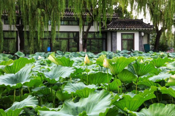 盛夏指的是几月份