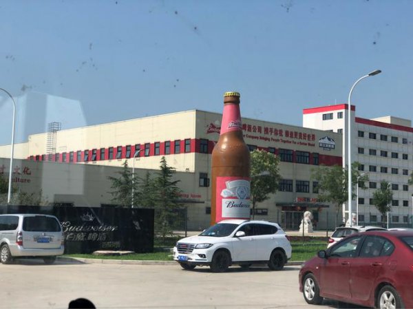 哈尔滨啤酒哪个国家的品牌