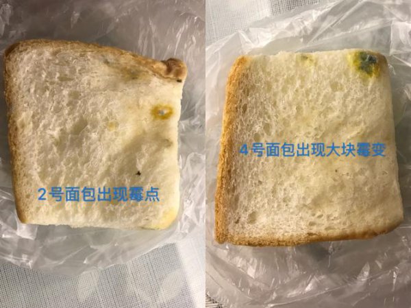面包变硬了还能吃吗