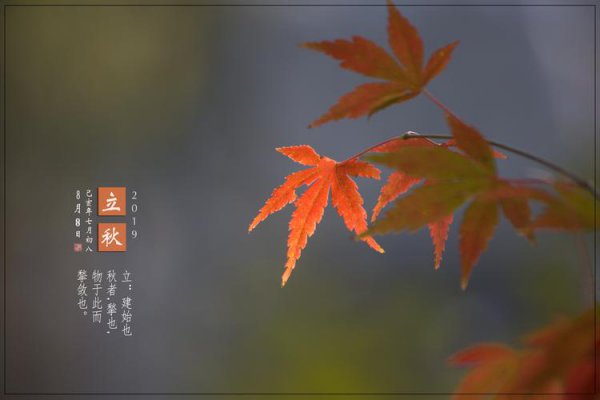 处暑为什么在立秋后面