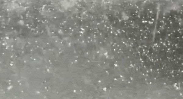 下冰雹是继续开车还是停下来