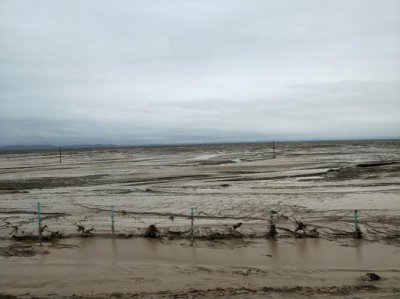 沙漠为什么会发洪水 沙漠为什么不能人工降雨