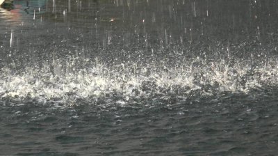 下雨了冒泡了 下雨时水面上为什么有泡泡