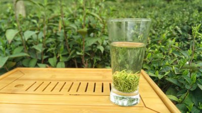 绿茶指的是哪一类人 绿茶是指什么样的人？