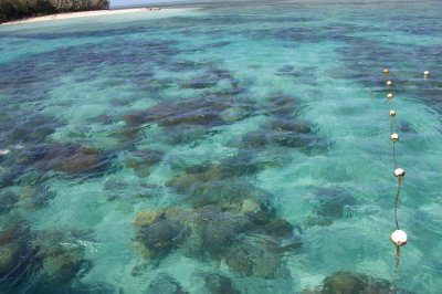 海水是咸的原因 海水为什么是咸的