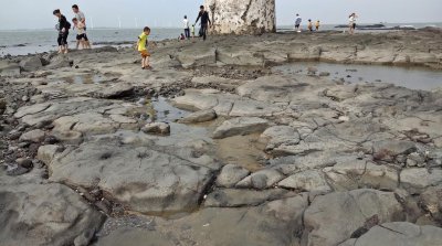 海底有石头吗 海边为什么放人工石头