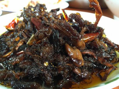 什么是鸡油枞 鸡油枞是什么东西