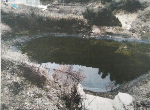 水泥散发的气味有毒吗