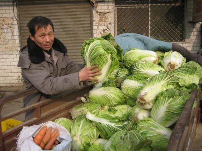 白菜发苦是什么原因 白菜为什么会有股苦味