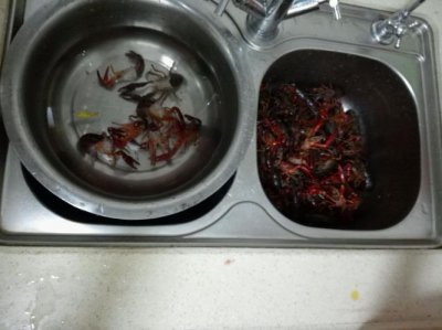 小龙虾离开水存活时间 小龙虾离开水可以活多久