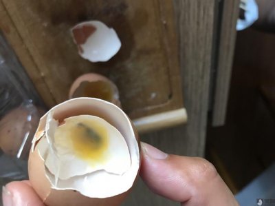 鸡蛋能摇动是不是坏了 鸡蛋能摇动是什么原因