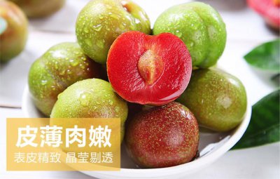 红李子可以泡酒吗 红李子能否泡酒饮用