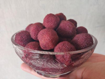 可以吃有酒味的杨梅吗 杨梅放久了有酒味还可以吃吗