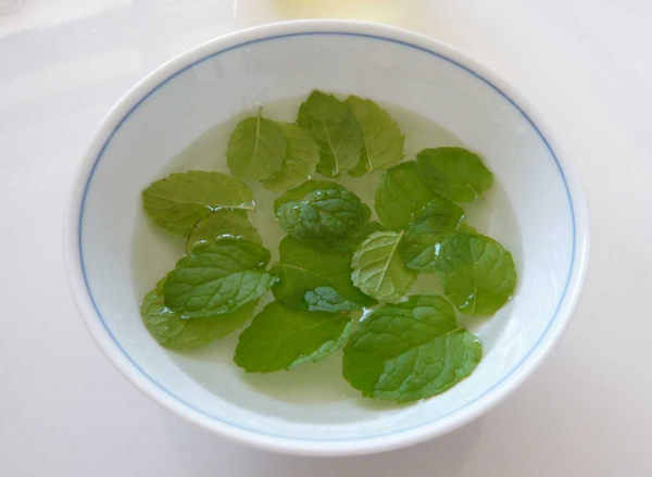 刚摘的薄荷叶能泡水喝吗？有毒吗？