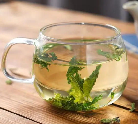 刚摘的薄荷叶能泡水喝吗？有毒吗？