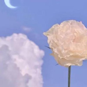 女生在意男生哪些细节 女朋友是细节控怎么办