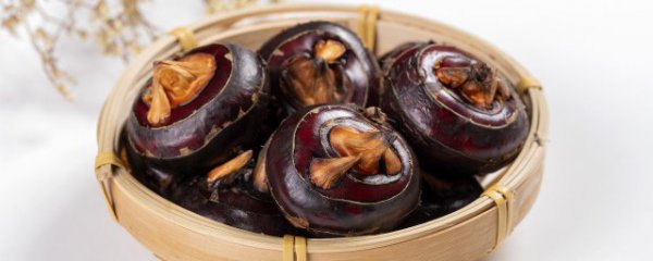 马蹄营养成分功效作用