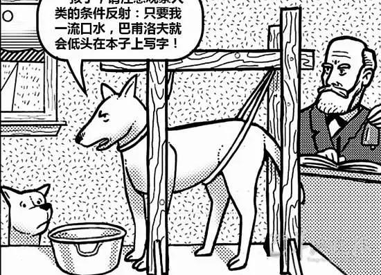 巴甫洛夫条件反射理论在日常生活中应用