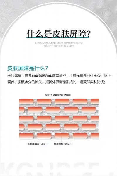 什么是皮肤屏障