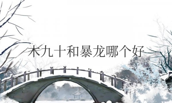 木九十和暴龙哪个好档次高点