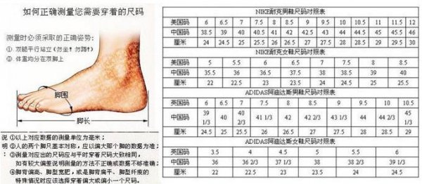 24.5是多大码的鞋