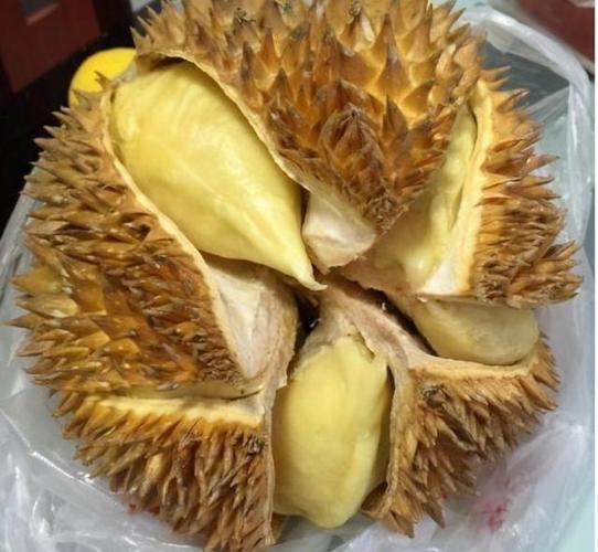 榴莲熟了可以放几天不烂