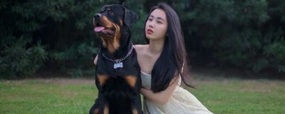 美妆蛋和粉扑哪个好用 美妆蛋的优缺点