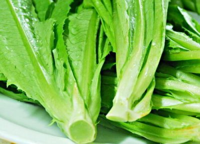 油麦菜几月份种植 油麦菜适合几月份种植