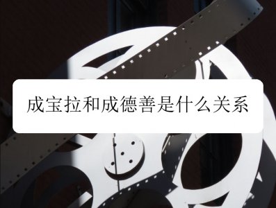 请回答1988成宝拉和成德善是什么关系 请回答1988简介