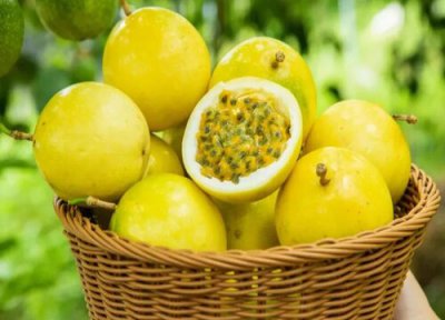 一天吃多少 黄金百香果一天吃几个最好