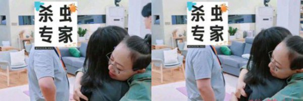 宋丹丹向李雪琴道歉