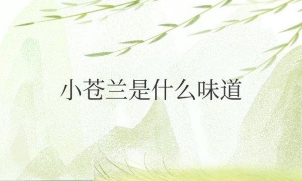小苍兰是什么味道的香水