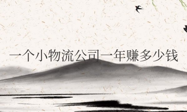 一个小物流公司一年赚多少钱