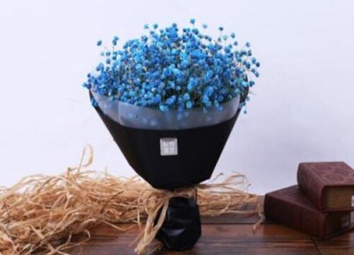 满天星花语和寓意 满天星的花语是什么