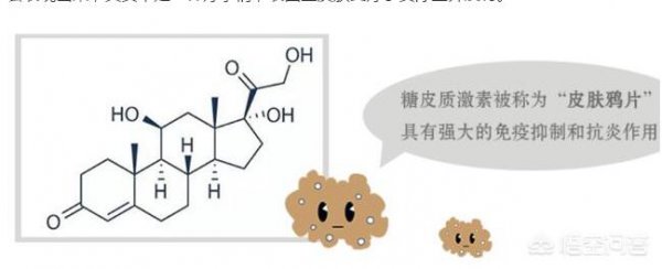 怎样测试护肤产品含激素？